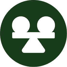 Icon investment capital value