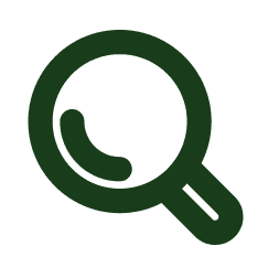 Magnifying glass icon